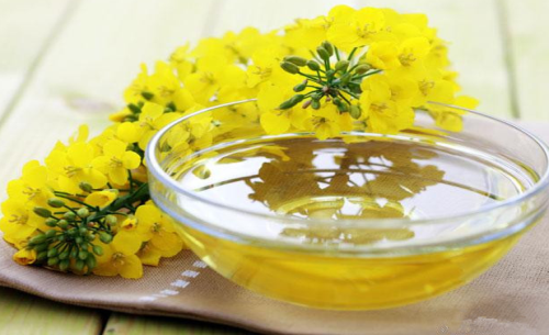 菜油期貨手續(xù)費標準，怎么降低菜油