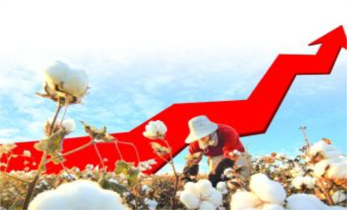 棉花期貨價(jià)格變化和哪些因素有關(guān)？