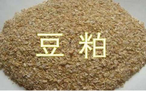 期貨豆粕和菜粕的關(guān)聯(lián)性，菜粕豆粕